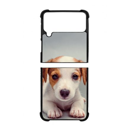 Angyali Jack Russel Terrier kis kutya Samsung Galaxy Z Flip 3 5G tok