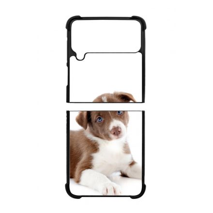 Édes Border Collie kölyök kutyus Samsung Galaxy Z Flip 3 5G tok