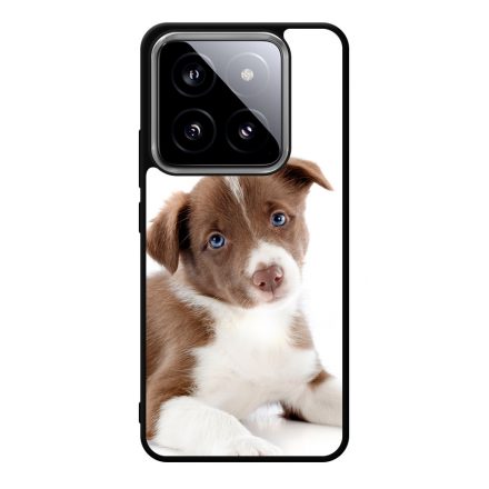 Édes Border Collie kölyök kutyus Xiaomi Mi 14 Ultra tok