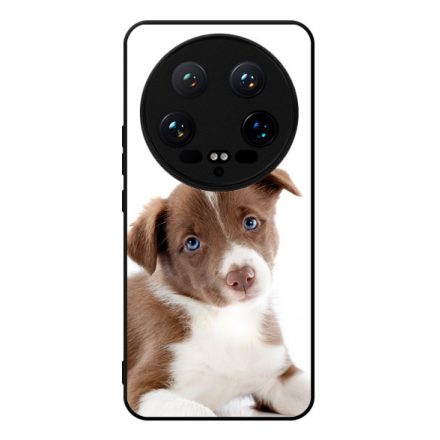 Édes Border Collie kölyök kutyus Xiaomi Mi 14 Ultra tok