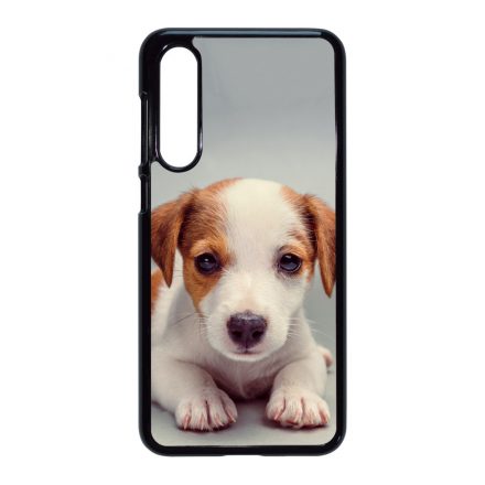 Angyali Jack Russel Terrier kis kutya Xiaomi Mi 9 SE tok