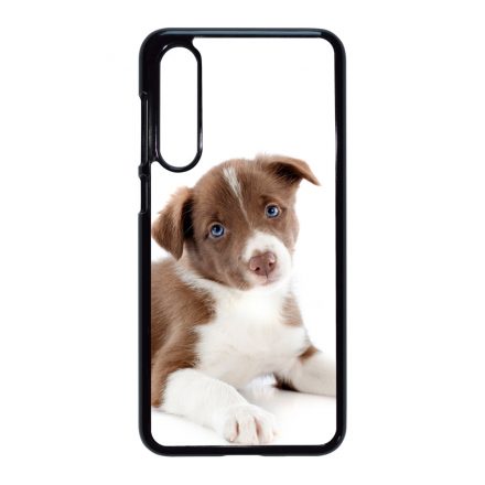 Édes Border Collie kölyök kutyus Xiaomi Mi 9 SE tok