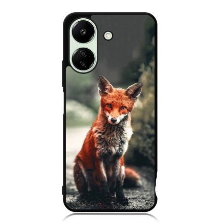 Autumn Fox őszi róka Xiaomi Redmi 13C 4G tok