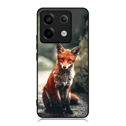 Autumn Fox őszi róka Xiaomi Redmi Note 13 Pro 5G tok