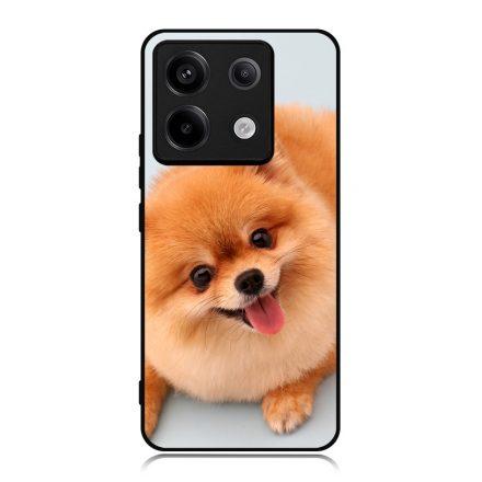 Pomerániai spitz - Akarsz játszani Xiaomi Redmi Note 13 Pro 5G tok